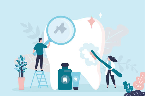 Professional  Holistic Dental Services in Rehobeth, AL